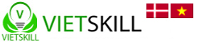 Viet Skill - Improving the vocational training system in Vietnam